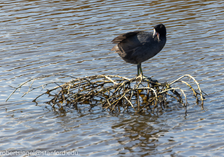 emily renzel wetlands 2024